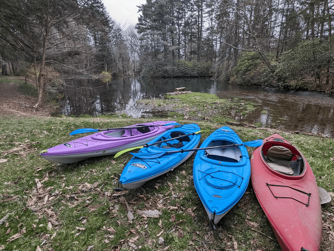 Activities and Entertainment: Green Gables