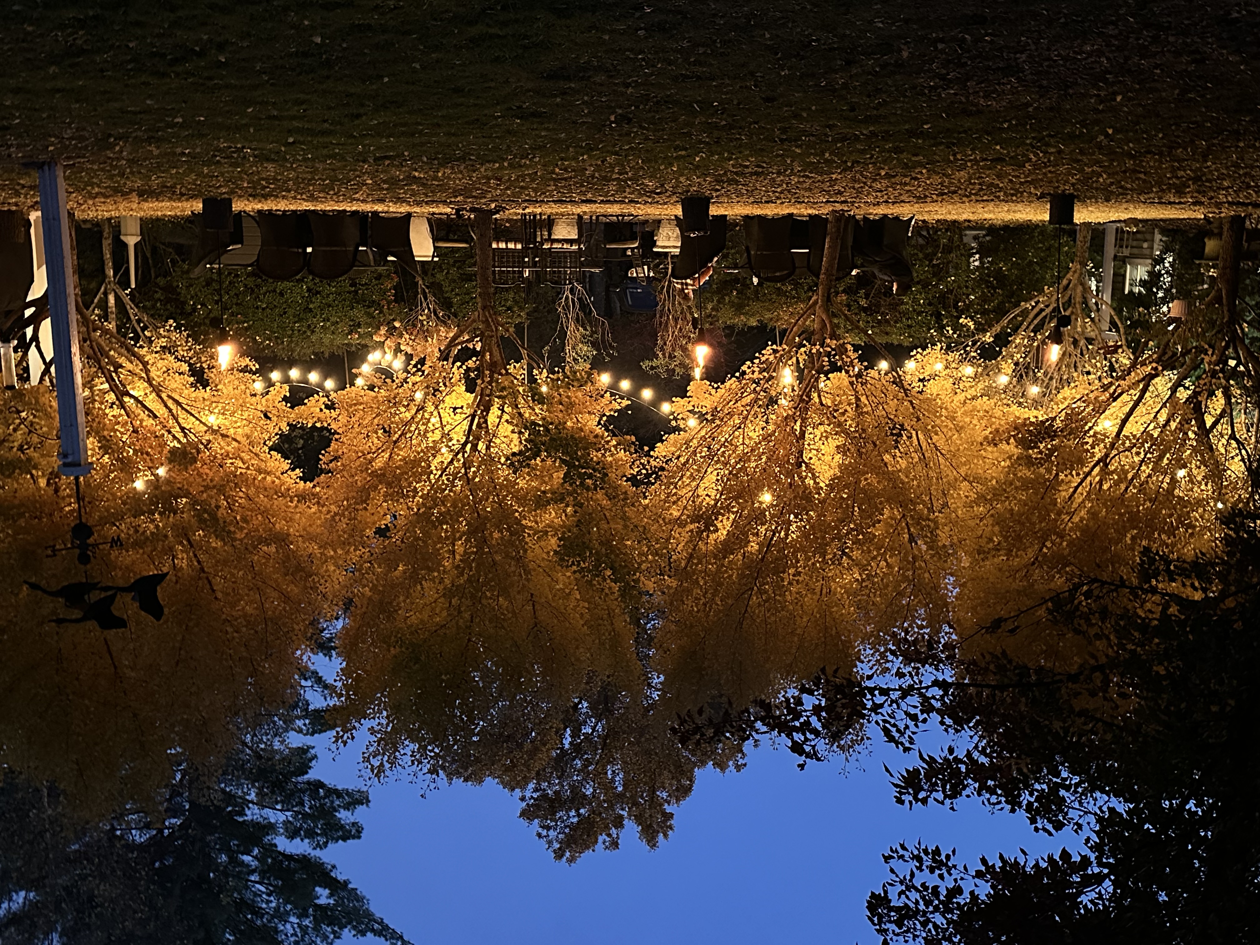 Versatile Spaces to gather for groups of all sizes